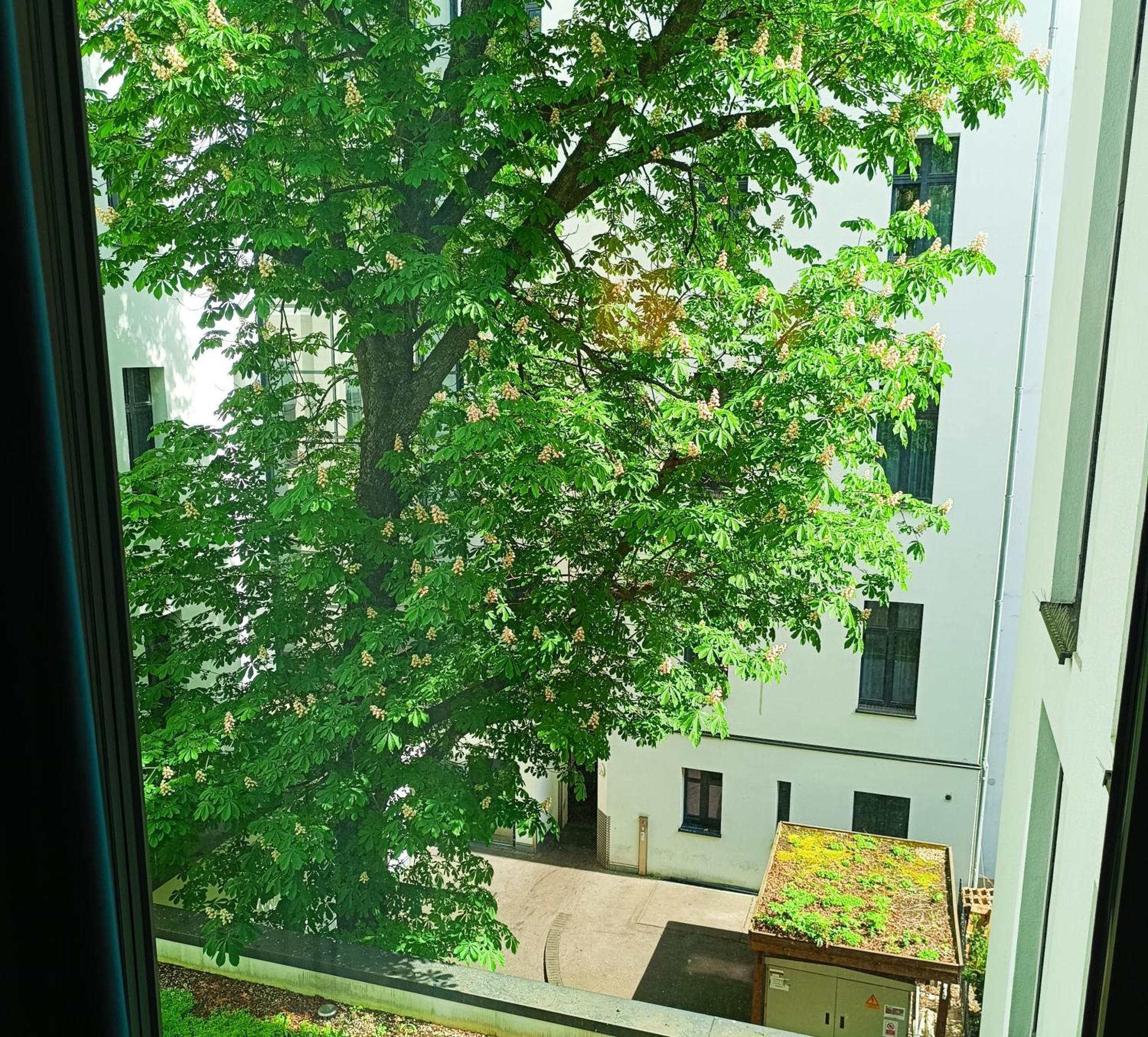 Mercure Hotel Berlin Wittenbergplatz Exterior photo